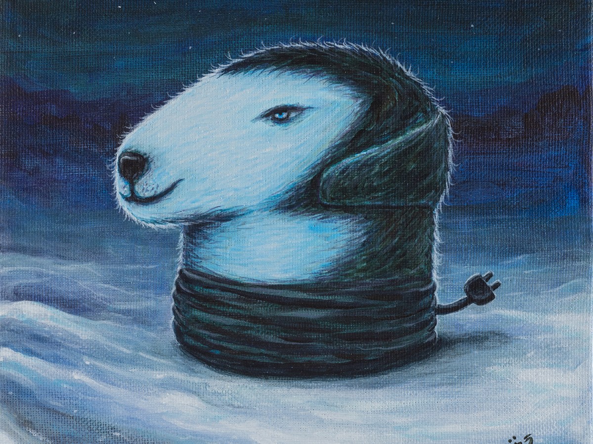 Kettlr Siberian Husky&nbsp;[A02]