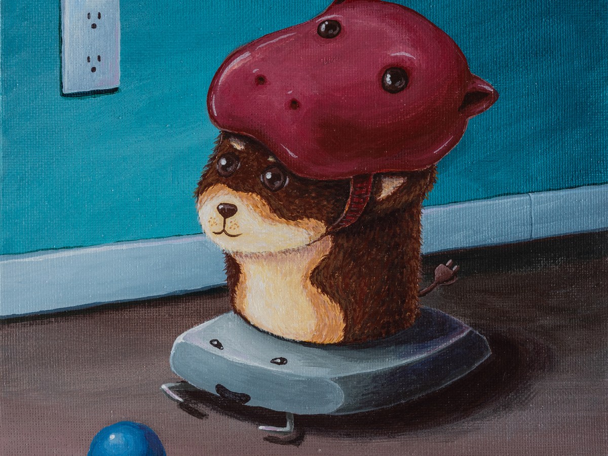 Kettlr Chihuahua [A04]